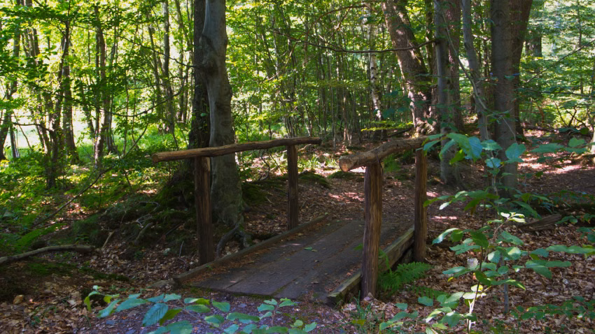 Kleine Brücke im Wald