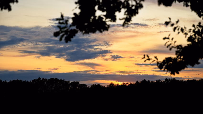 Sonnenuntergang im Wald