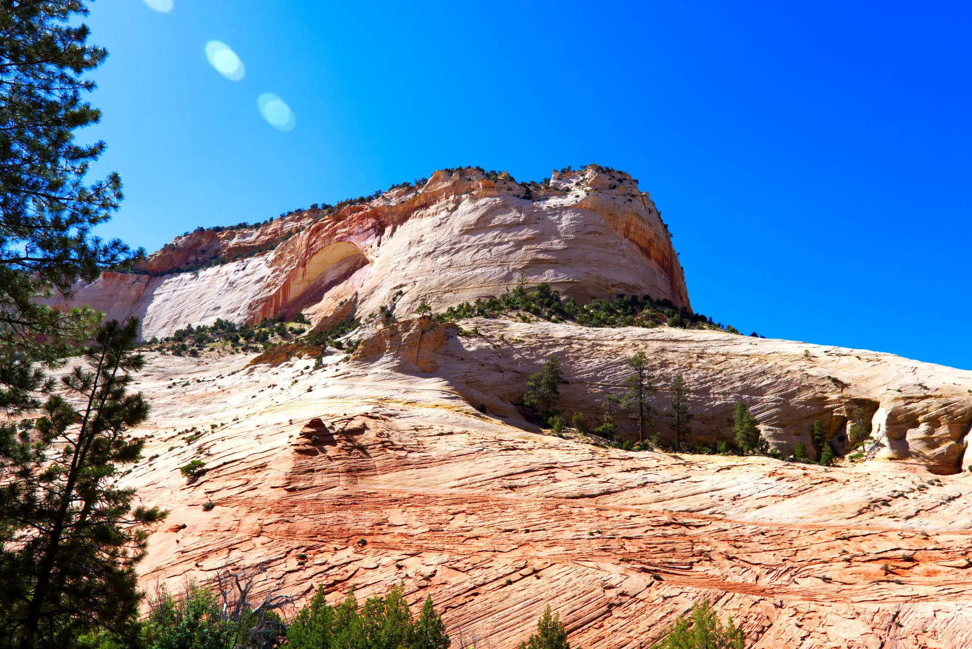 Zion Nationalpark