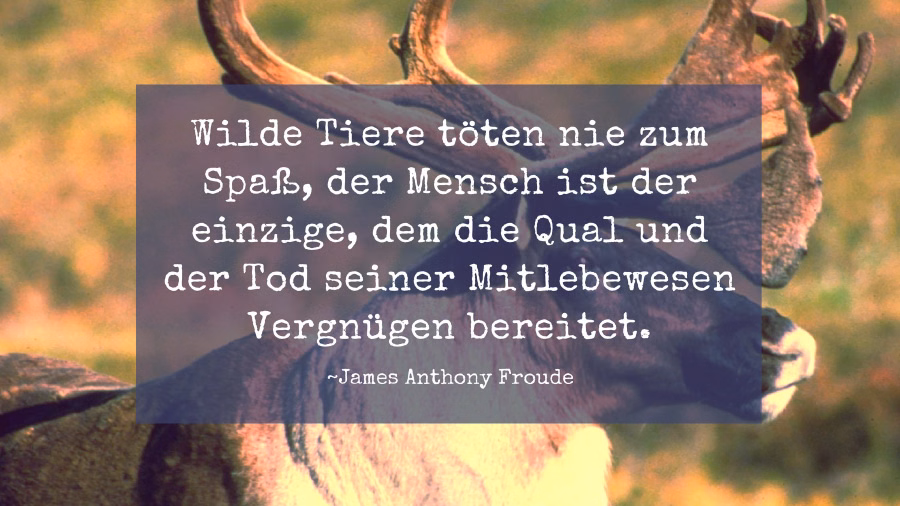Zitat von James Anthony Froude